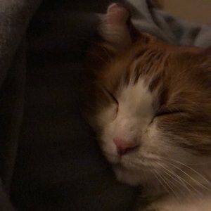 Meet your Posher, Scott